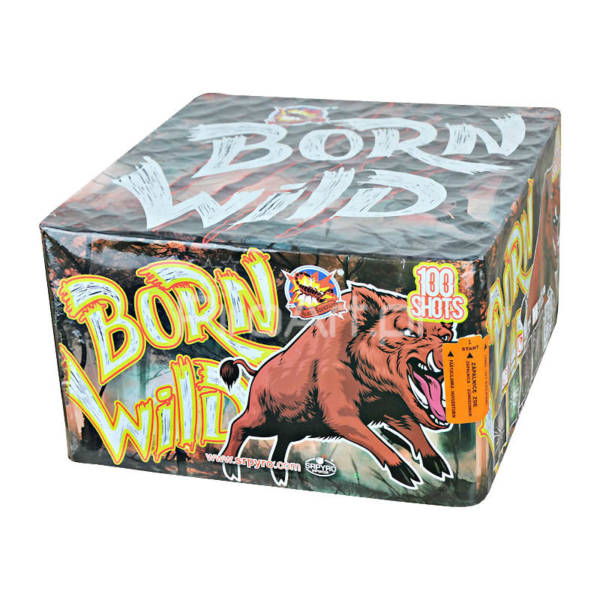 CLE4137B Born Wild [2/1]